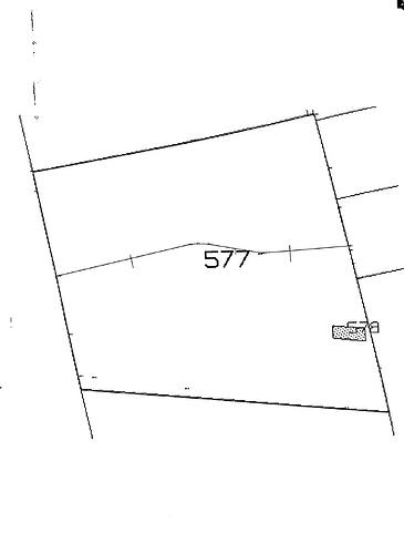 Immagine p.lle 577-578